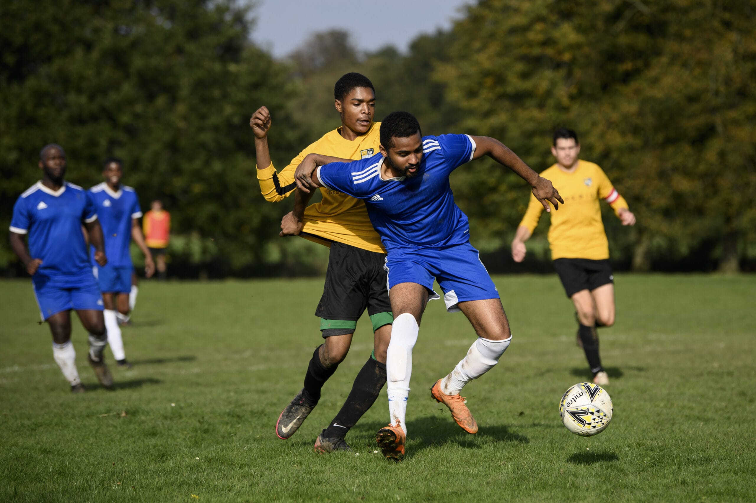 Which sportas team management app is nest, Spond or Heja?
