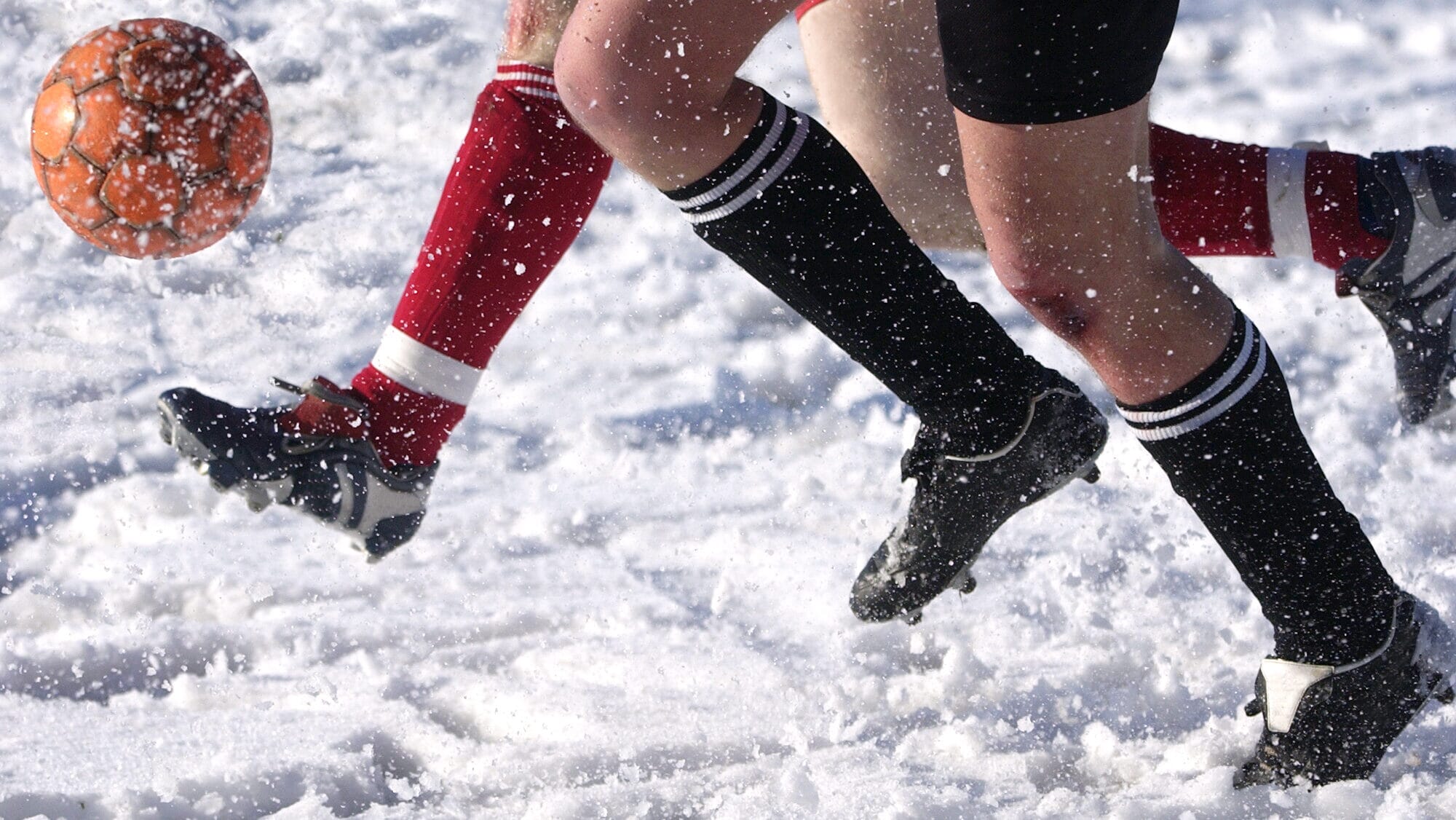 iStock-182660054-e1732123160444.jpg?w=1024&h=577&scale