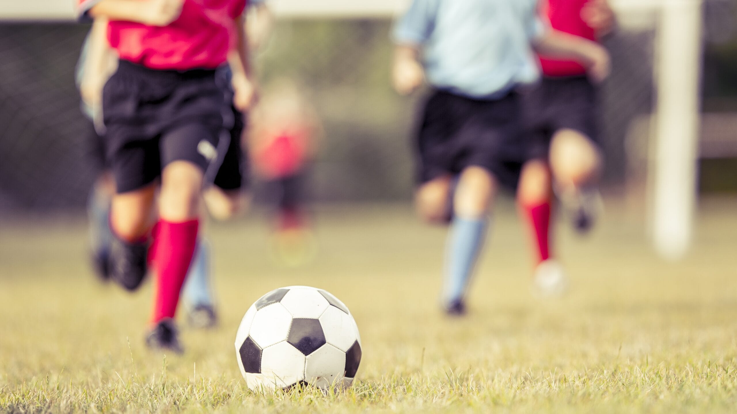 iStock-622195994-scaled.jpg?w=1024&h=576&scale