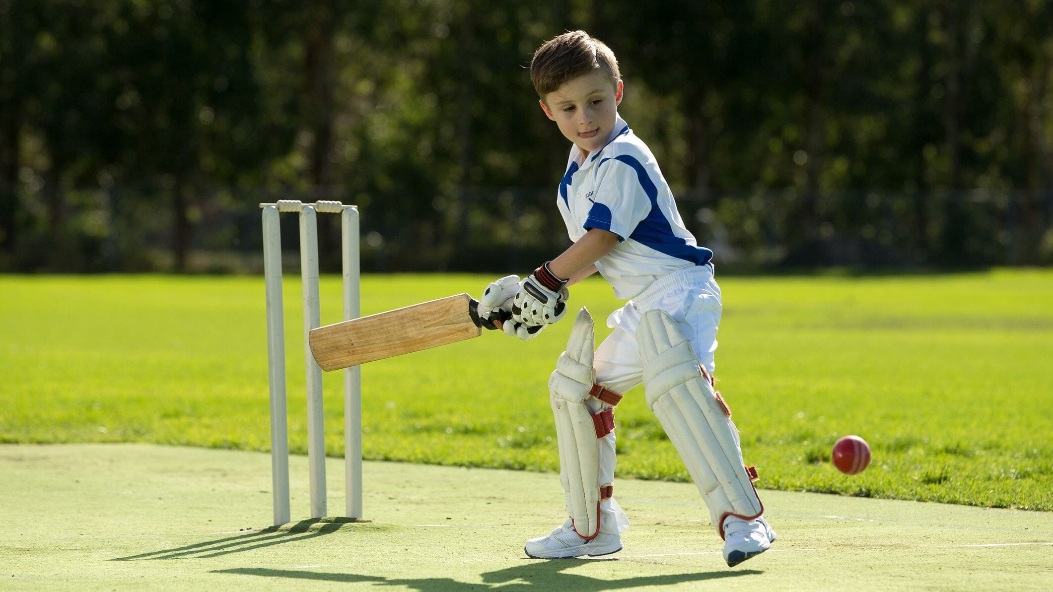 iStock-497568472-modified-781dd639-788d-4397-8387-2c1bbc9f4a76.jpg?w=1024&h=576&scale